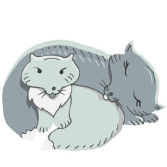 Polar fox, mother and baby. Cute wild animals.