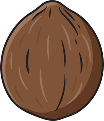Mature Coconut and half coconut Brown hard shelled, Broken coconut