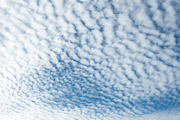 Cirrocumulus clouds. Unusual Cloudy sky