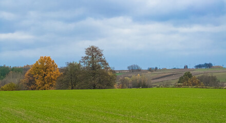 Meadows and arable fields in spring time.