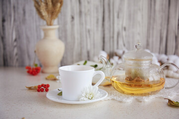 Fototapeta na wymiar Linden tea in teapot with cup of tea. Dry fragrant flowers, autumn arrangements and cotton. Cozy atmosperic home