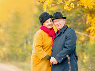 Happy elderly couple walking in autumn park holding each other's hand