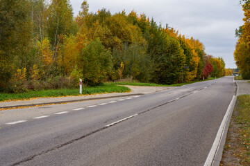 Autumn forest in the rays of the sun and the road in autumn colors. Day.