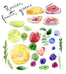 Lime, orange, berries, greens on white background, watercolor, can be used in printing, paper bags, stickers, packaging