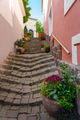 Obraz na płótnie Canvas Beautiful colorful cityscape of Szentendre with autumn flower pots on a narrow stairway
