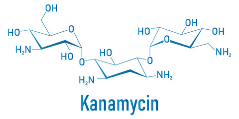 Kanamycin antibiotic drug molecule (aminoglycoside). Skeletal formula.