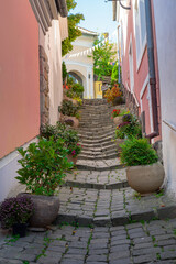 Beautiful colorful cityscape of Szentendre with autumn flower pots on a narrow stairway