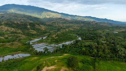 Fototapeta na wymiar Aerial view of rice fields, hills, plantations in a village