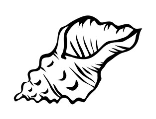 Sea shell. Marine underwater twisted shell. Undersea mollusc. Decorative element. Mediterranean culture. Cartoon vector illustration black and white. Hand drawn outline sketch
