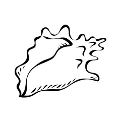 Sea shell. Marine underwater twisted shell. Undersea mollusc. Decorative element. Mediterranean culture. Cartoon vector illustration black and white. Hand drawn outline sketch