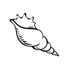Sea shell. Marine underwater twisted shell. Undersea mollusc. Decorative element. Mediterranean culture. Cartoon vector illustration black and white. Hand drawn outline sketch