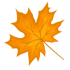 Maple Fall Leaf