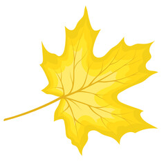 Maple Fall Leaf