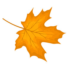 Maple Fall Leaf