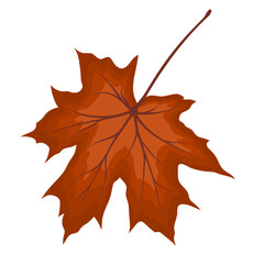 Maple Fall Leaf