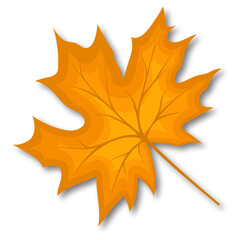 Maple Fall Leaf
