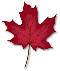 Maple Fall Leaf