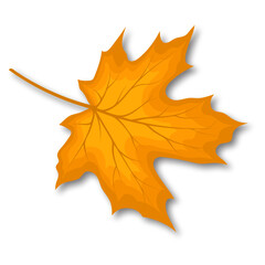 Maple Fall Leaf