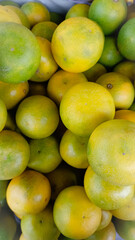 yellow and green apples