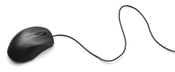 Computer mouse on white background