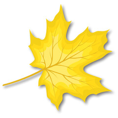 Maple Fall Leaf
