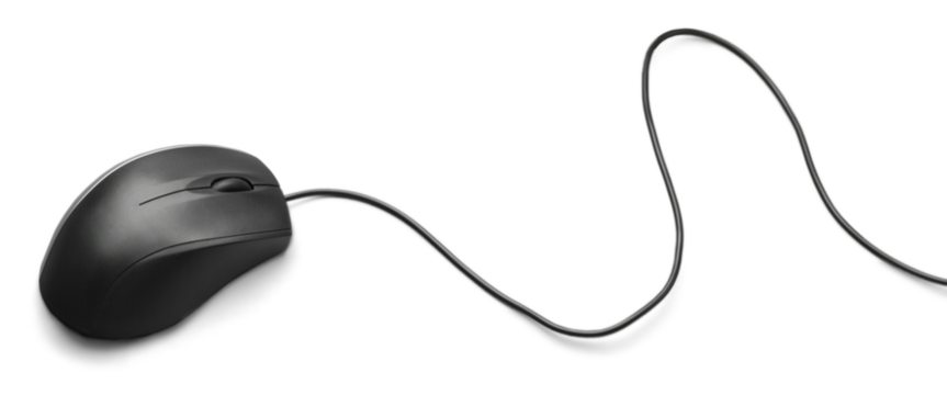 Computer mouse on white background