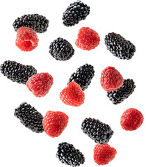 Flying blackberries in a bowl