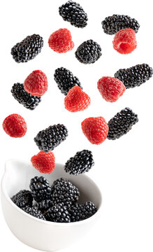 Flying Blackberries In A Bowl