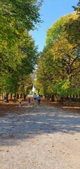Rodzinny spacer w parku jesienią, ridzuce z dzuecmi spacerują w jesiennym parku