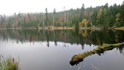 Lake Laka with floating islands on the surface is the smallest, shallowest and highest glacial lake in Šumava.