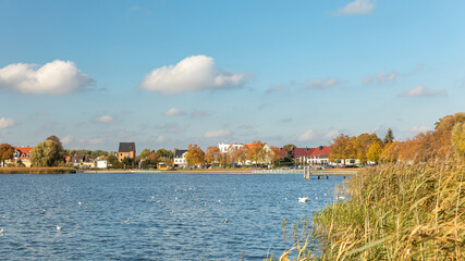 Landschaft mit Siedlung Stadt Ort Häusern sowie Schilf und Bäumen am Ufer von einem See