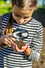 Children examine the soil with a magnifying glass. Selective focus.