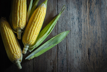 Fresh corns on a rustic wooden floor, flat lay.
