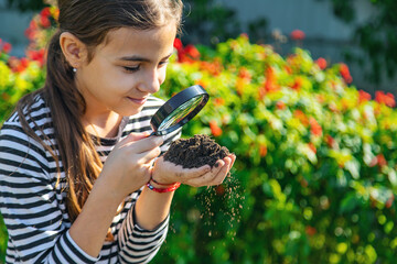 Children examine the soil with a magnifying glass. Selective focus.