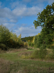 A curving path snakes through a sunlit, autumnal woodland, under a bright blue, cotton-wool-clouded sky.