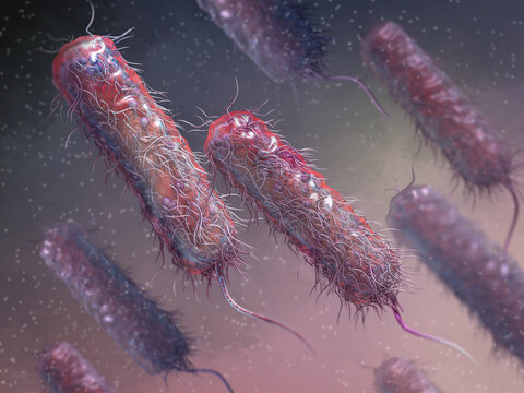 Medical background, bacteria facultative anaerobes, Salmonella, enterobacteria, rod-shaped, flagella over the entire surface, causative agent of salmonella infection, pathogen, 3D rendering