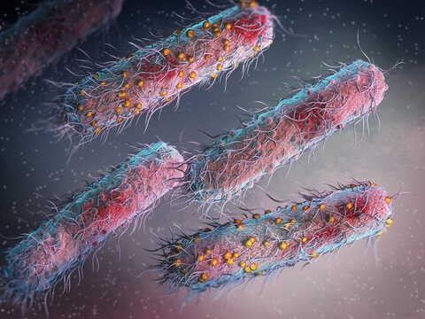 Medical background, bacteria facultative anaerobes, Salmonella, enterobacteria, rod-shaped, flagella over the entire surface, causative agent of salmonella infection, pathogen, 3D rendering