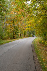 Obraz premium Autumn forest in the rays of the sun and the road in autumn colors. Day.