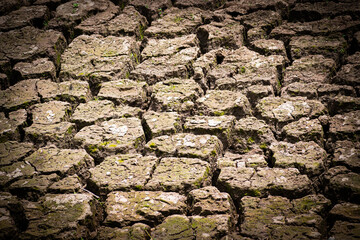 Soil cracked background.Land in dry season.