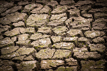 Soil cracked background.Land in dry season.