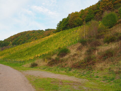 Herbst an der Mosel vom Aussichtspunkt Zummeth&ouml;he bei Leiwen und Trittenheim