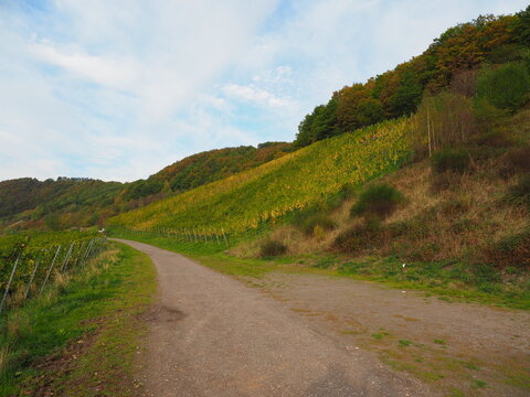 Herbst an der Mosel vom Aussichtspunkt Zummeth&ouml;he bei Leiwen und Trittenheim