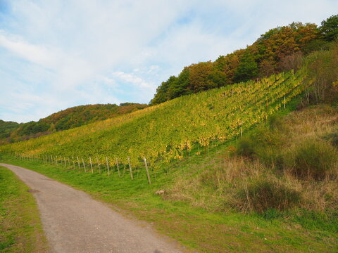Herbst an der Mosel vom Aussichtspunkt Zummeth&ouml;he bei Leiwen und Trittenheim
