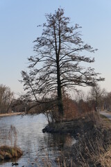 An der Doanu in Ulm, Friedrichsau