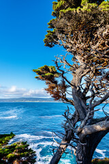 Big Sur, California with Pacific Coast Ocean