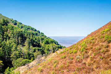 Big Sur, California with mountains and forest