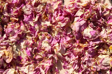 Scattered dried tea rose petals as background, closeup