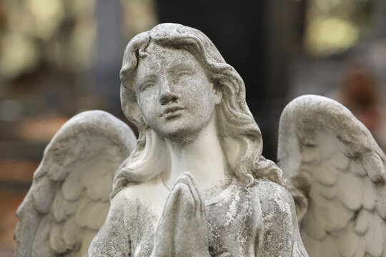 Beautiful statue of angel at cemetery, closeup. Religious symbol