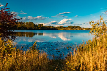 Beautiful summer view with reflections at a pond near Plattling, Isar, Bavaria, Germany
