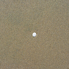 Lone white stone on the wet sand